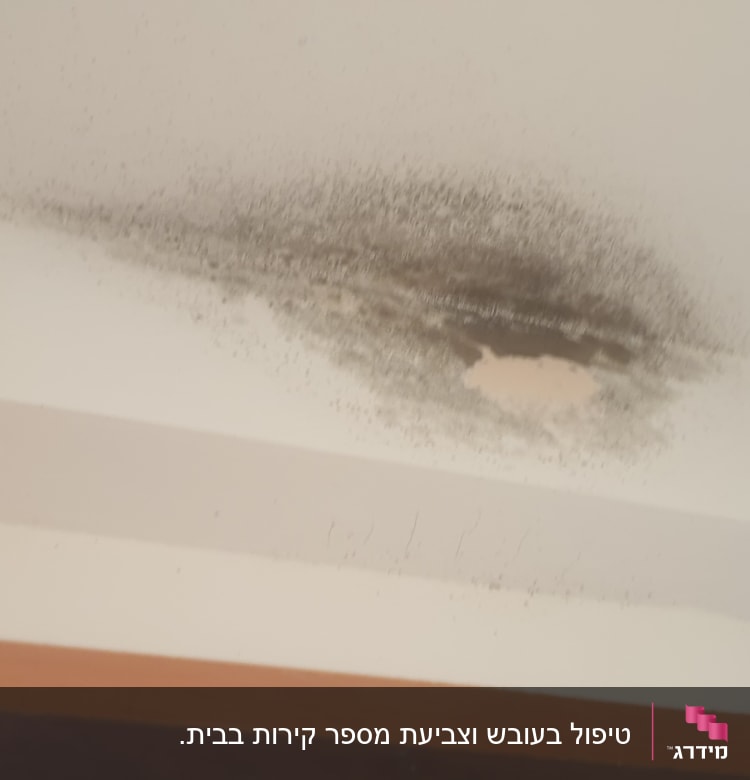 כתם רטיבות ועובש על תקרה לבנה